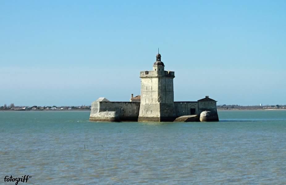Le Clos Des Oiseaux 생트 외부 사진