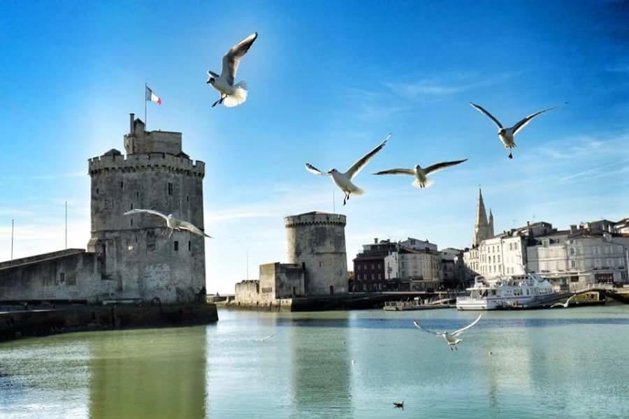 Le Clos Des Oiseaux 생트 외부 사진